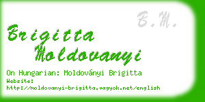 brigitta moldovanyi business card