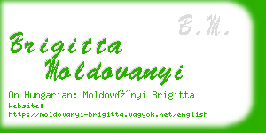 brigitta moldovanyi business card